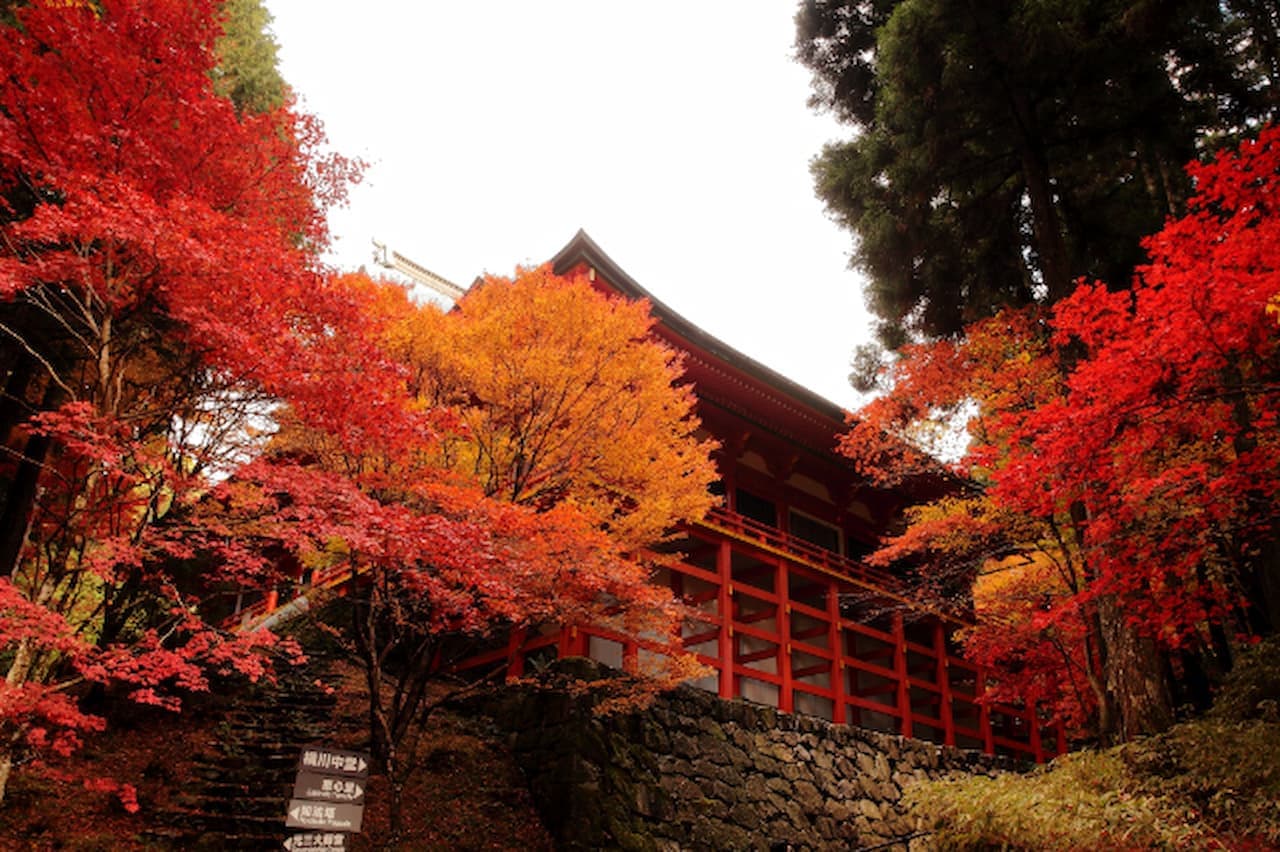 Enryaku‐ji Temple Ticket - image 2