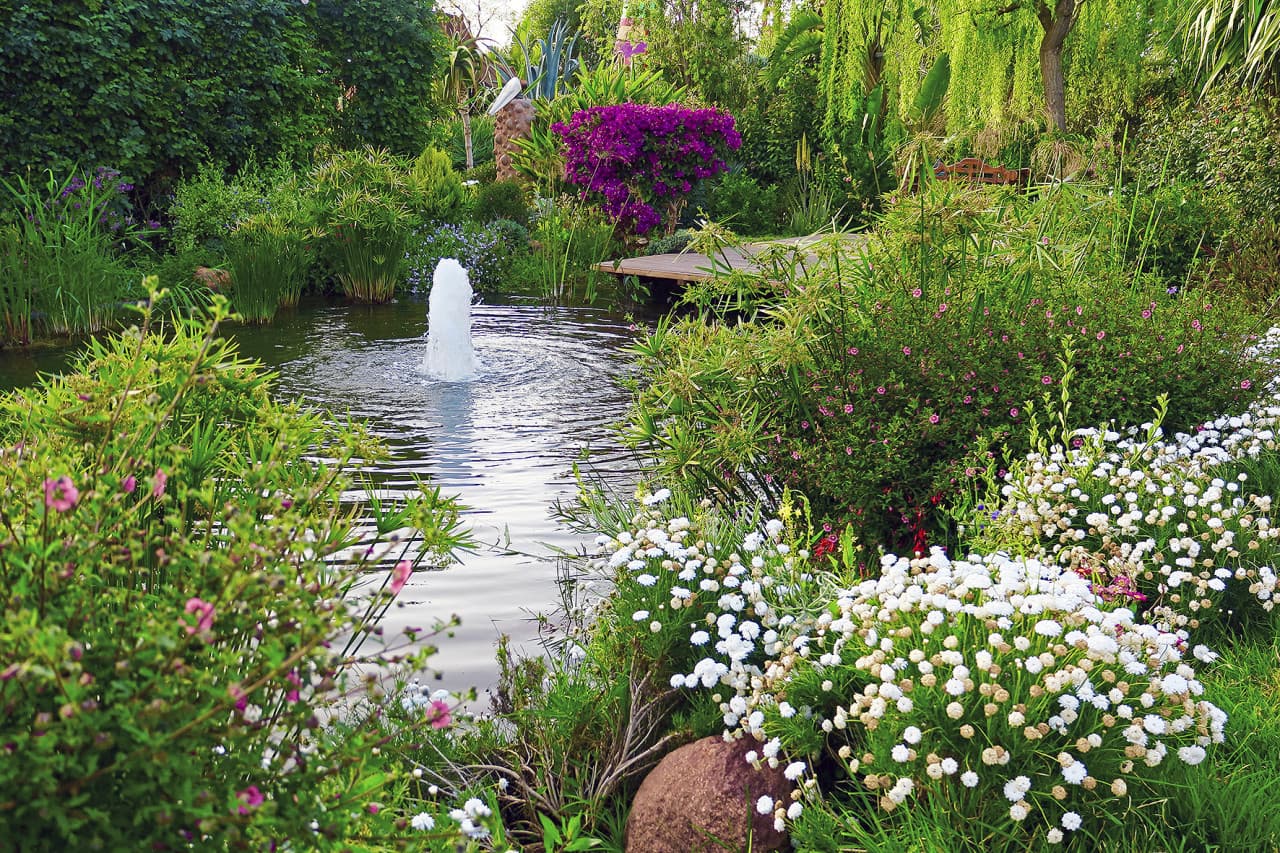 ANIMA Garden Ticket - image 6