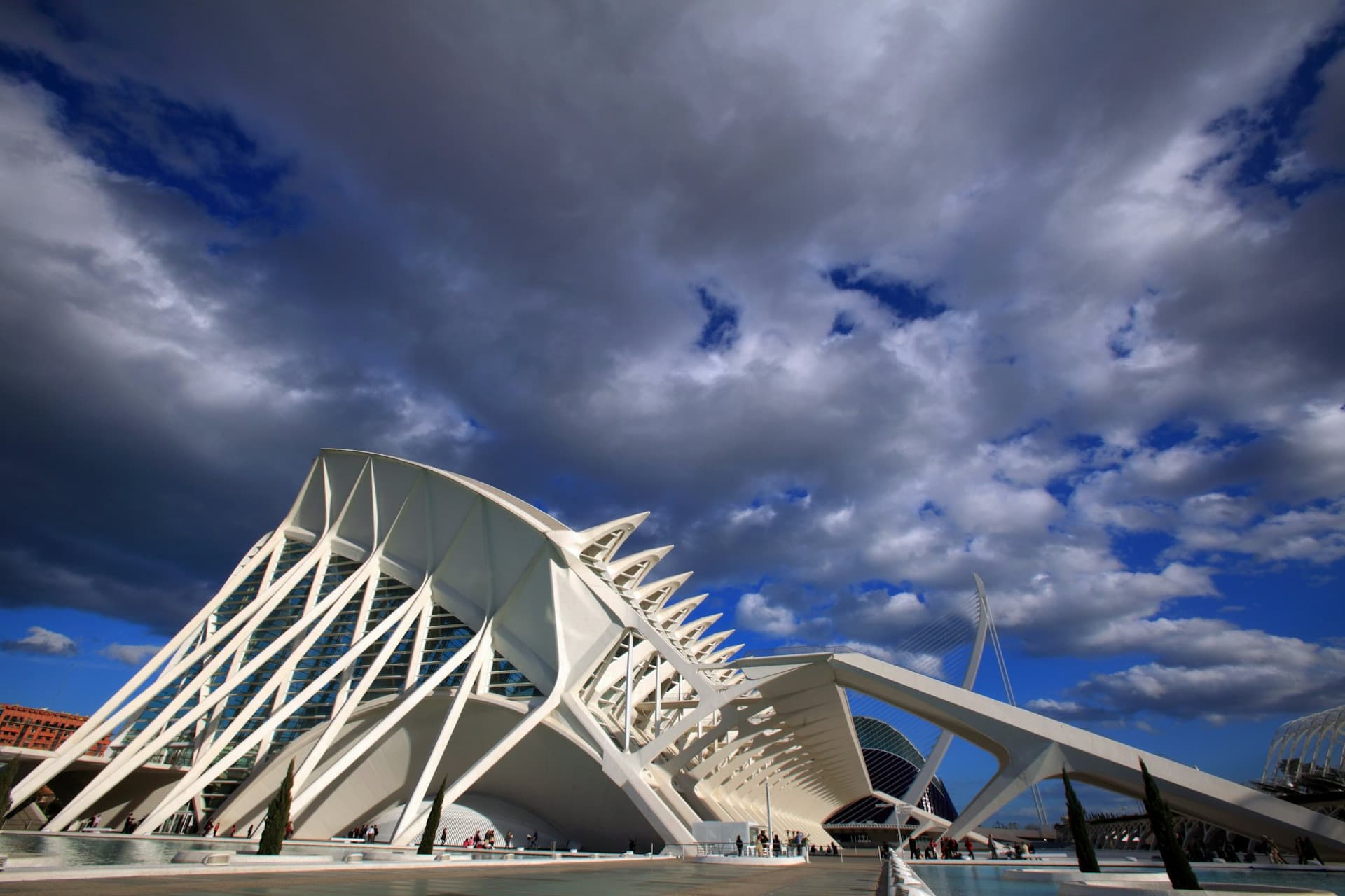 Science Museum Valencia Ticket - image 6